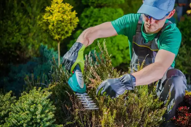 landscaping services Wurtland